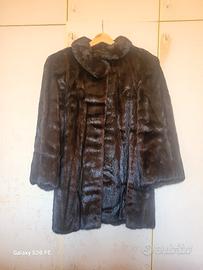 Visone Annabella Pavia