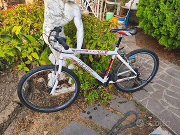 bicicletta Mountain bike ruote da 26 
