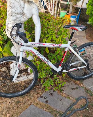 bicicletta Mountain bike ruote da 26 