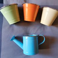 Kit 3 vasetti + mini innaffiatoio in ferro