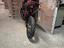 Immagine 5