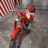 MV Agusta Altro modello - 1963