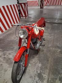 MV Agusta Altro modello - 1963