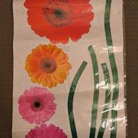 Carta adesiva colorata da parete