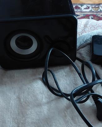 Amplificatore per pc (cassa)