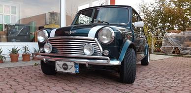 Mini rover mpi