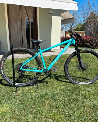 Specialized rockhopper 29 2023 taglia L