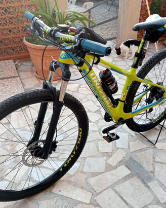 Moutain bike torpado in carbonio