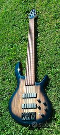 CORT Artisan C5 Plus ZBMH Open Pore Trans Black Bu