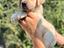 Immagine 26