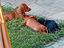 Immagine 1