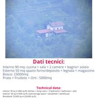 Casa nel bosco con terreno