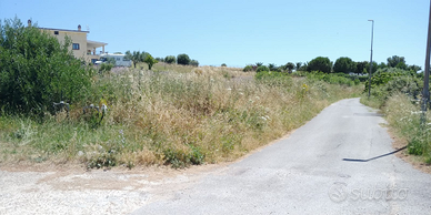 Terreno agricolo a civitavecchia