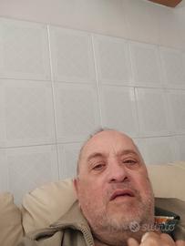 Cane carlino vecchio e razzista