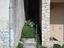 Immagine 6