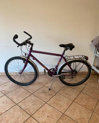 Bicicletta bottecchia/ aurora