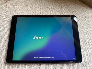 iPad 7ª gen 32GB Wi-Fi Grigio siderale+caricatore