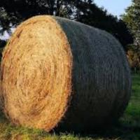 Rotoballe di fieno e di erba medica
