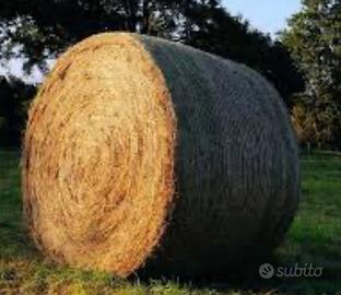 Rotoballe di fieno e di erba medica