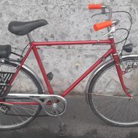 Bicicletta da uomo