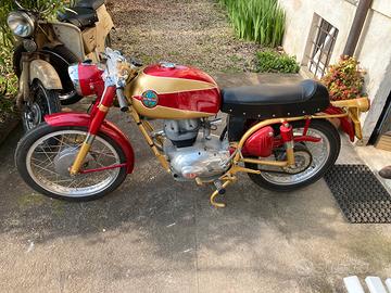 Benelli 175 1960
