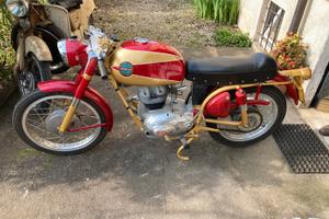 Benelli 175 1960