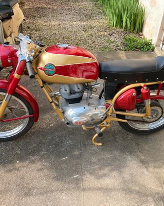 Benelli 175 1960
