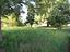 Immagine 26