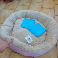 cuccia per cagnolina 