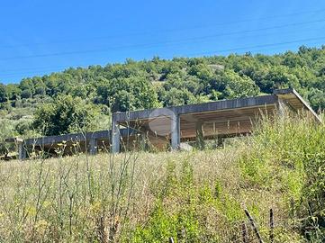 CASA INDIPENDENTE A TORRE ORSAIA