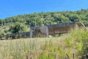 CASA INDIPENDENTE A TORRE ORSAIA