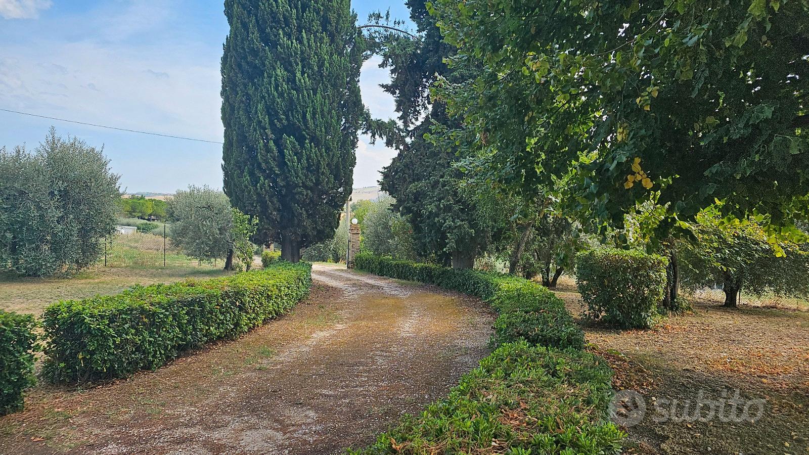 Casolare di campagna con ampio giardino - Vista 6