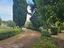 Immagine 6