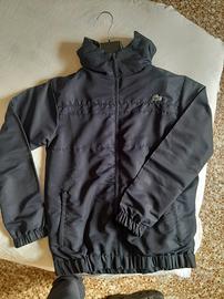 felpa lacoste