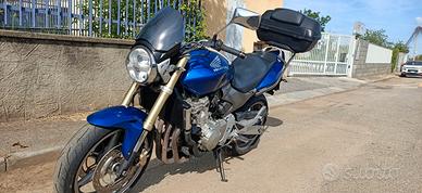 Honda hornet
