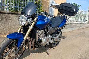 Honda hornet