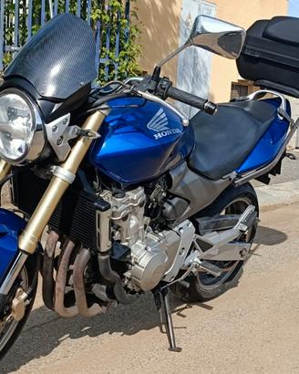 Honda hornet