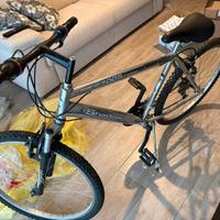 Bicicletta Shadow 7005