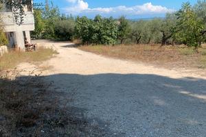 Magazzino ,con ampio spazio operativo