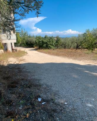 Magazzino ,con ampio spazio operativo