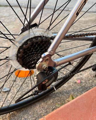 bici carnielli 