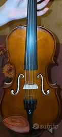 violino