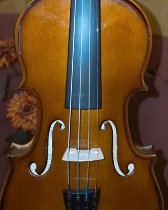 violino