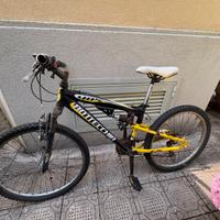 Bici mountain bike