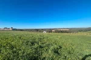 La storta/marina - terreno seminativo