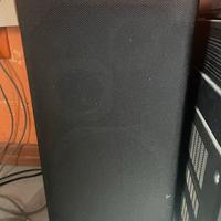 Coppia speaker Pioneer 3 vie