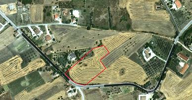 Terreno edificabile a CAMPODIPIETRA 1 km dal paese
