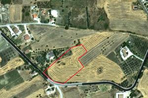 Terreno edificabile a CAMPODIPIETRA 1 km dal paese