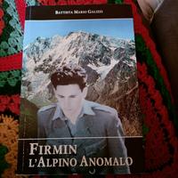 libro 2 guerra  mondiale Firmin l'Alpino Anomalo
