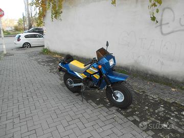 Fantic Motor Koala 50 - 1985